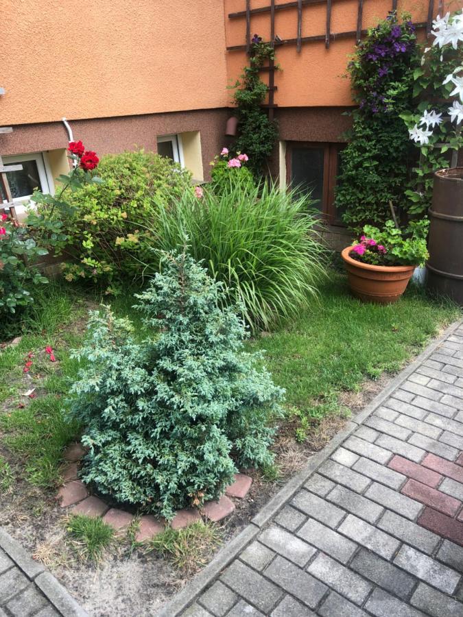 Homestay U Basi I Romana Sztutowo