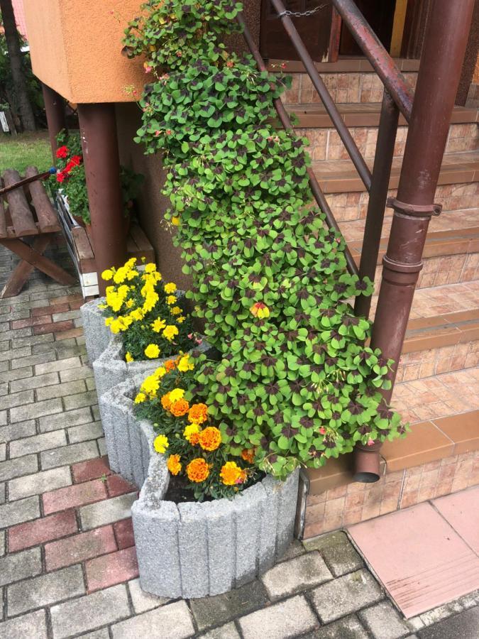 Homestay U Basi I Romana Sztutowo